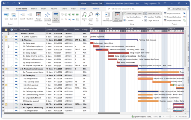MindView screenshot